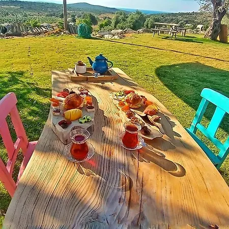 Vadi Alacati- Bungalow מלון *