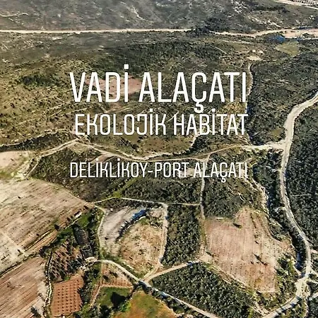 מלון Vadi Alacati- Bungalow