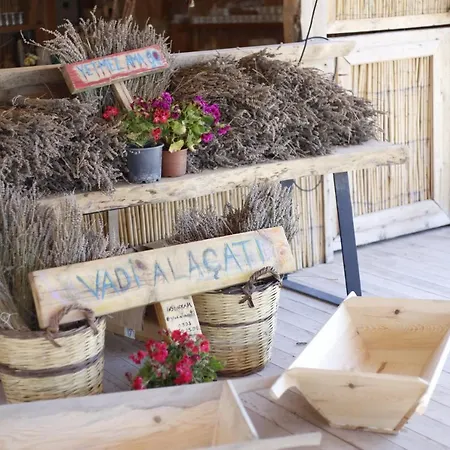 Vadi Alacati- Bungalow *